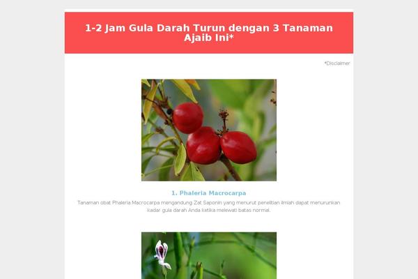 Landingpress-wp theme site design template sample