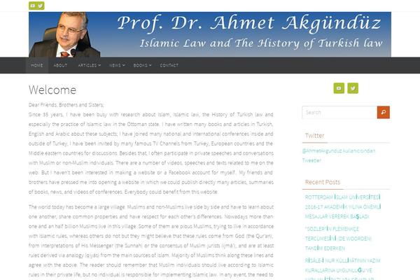 Site using Twitter Button by BestWebSoft plugin