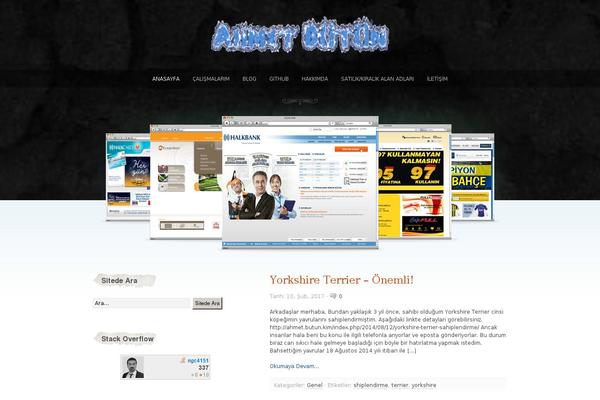 sophisticatedfolio theme websites examples