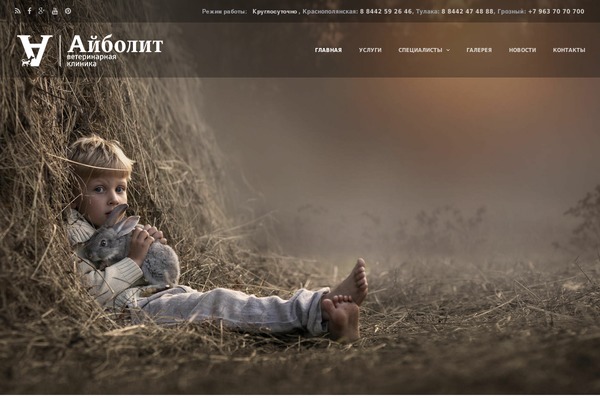 Hookie theme site design template sample