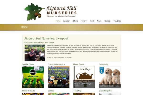 Striking theme site design template sample