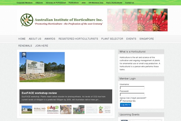 Goodnews483 theme site design template sample