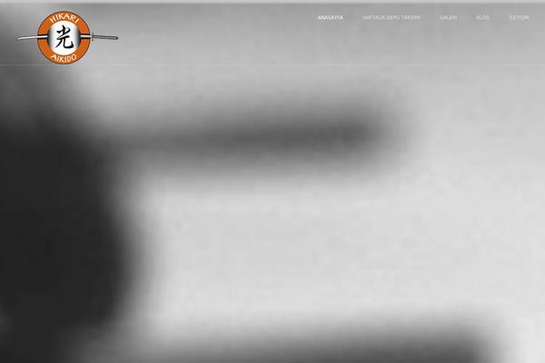 Asana theme site design template sample