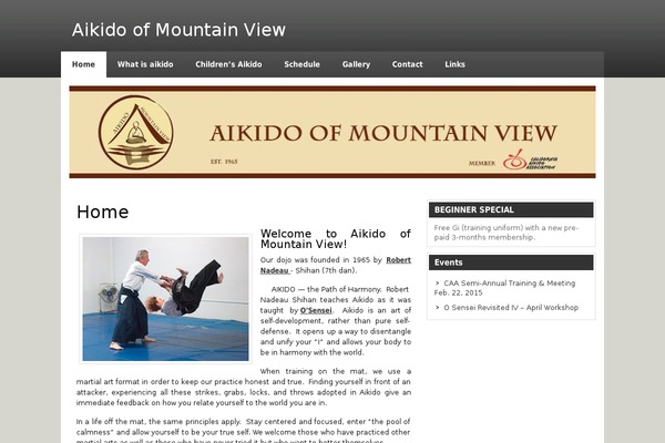 zeeSynergie theme site design template sample