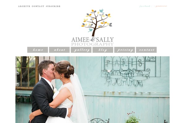 Prophoto4 theme site design template sample