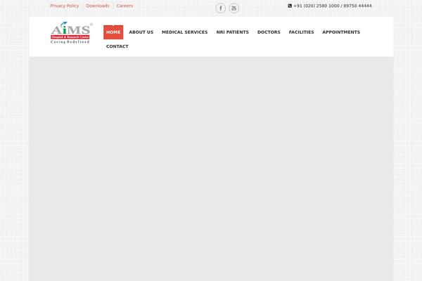 Site using Radiantthemes-mega-menu plugin