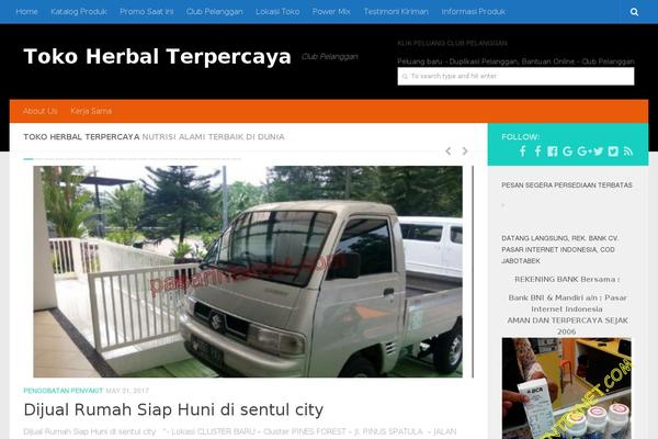 Hueman theme site design template sample