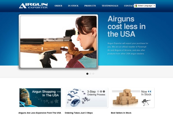 theme1240 theme websites examples