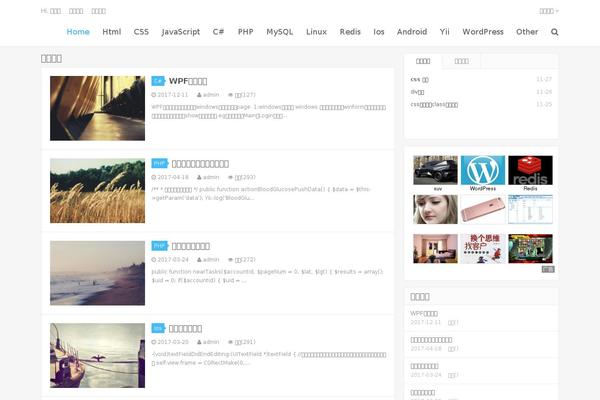 Dux theme site design template sample