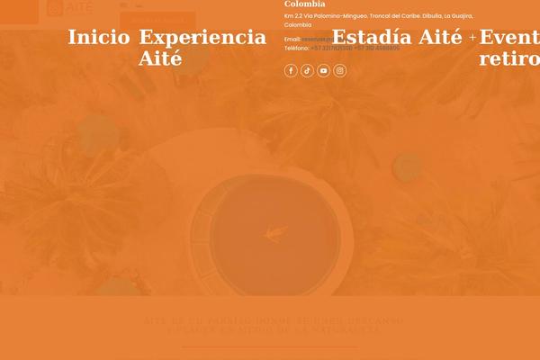 Site using Wp-and-divi-icons plugin