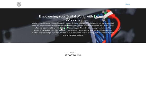 Startit theme site design template sample