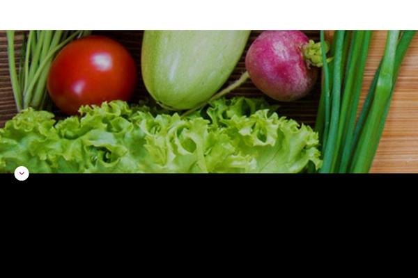 ajinomoto-usa.com site used Ajin-na