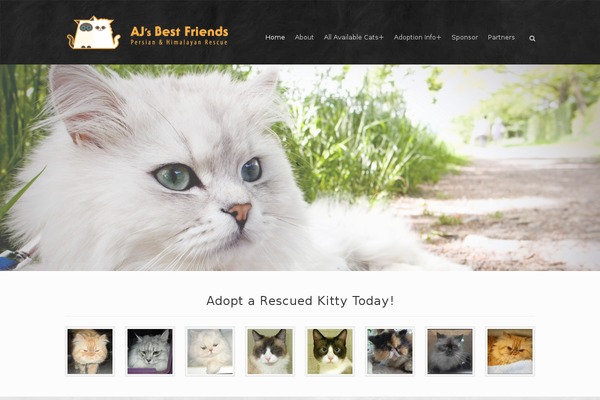 Rescue theme site design template sample