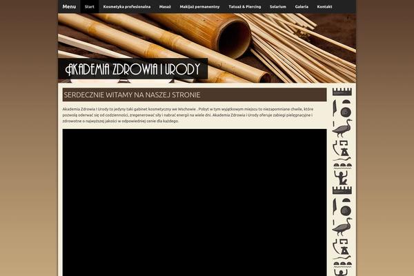Akademia theme site design template sample