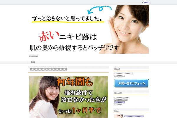 Site using Standard Widget Extensions plugin