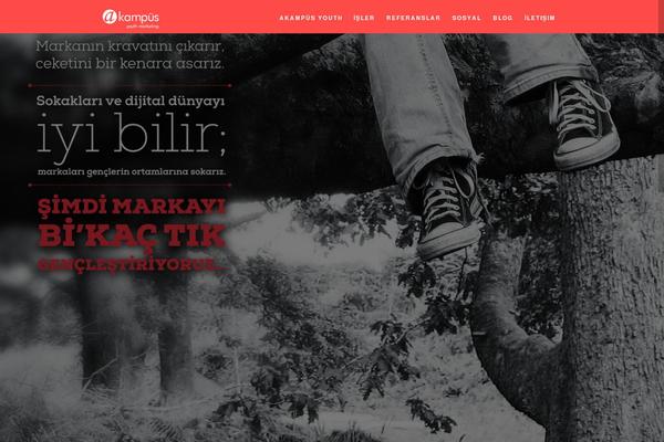 Site using fw-vimeo-videowall plugin
