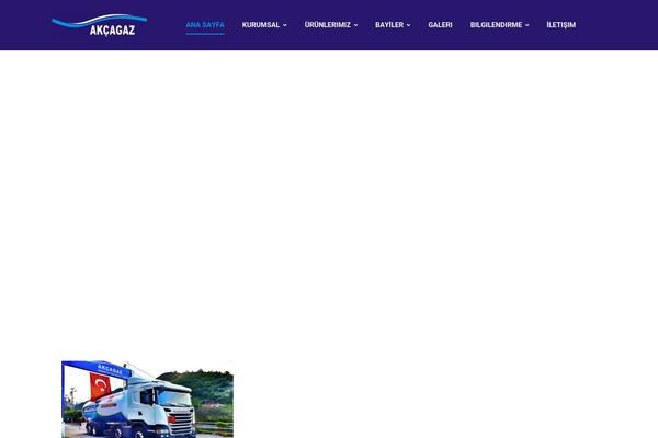 Bizix theme site design template sample