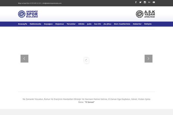 Ask theme site design template sample