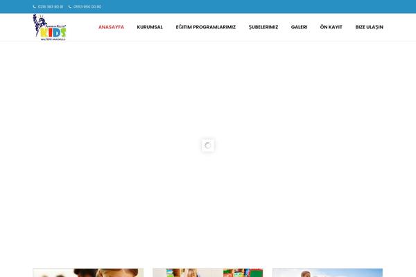 Site using Themesflat plugin