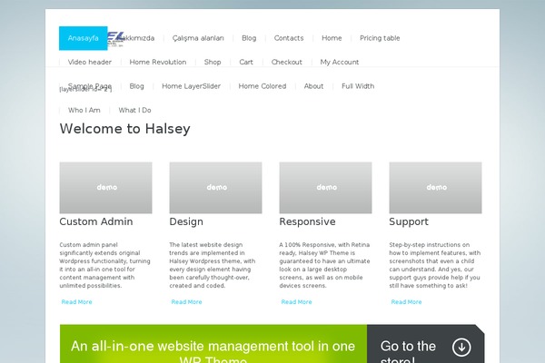 Halsey theme site design template sample