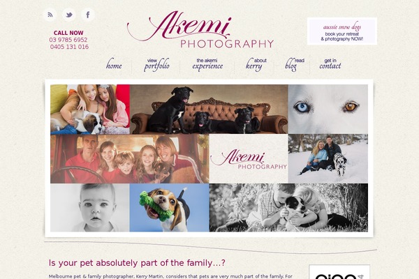 Eleven theme site design template sample