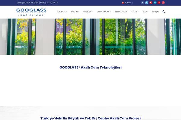 Site using Radiantthemes-mega-menu plugin