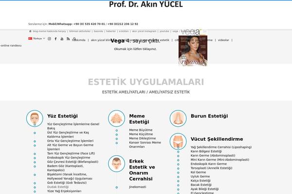 Kallyas theme site design template sample