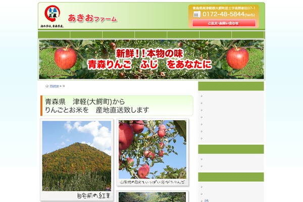 Wp.vicuna.ext theme site design template sample