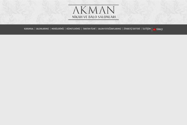 Medanis theme site design template sample