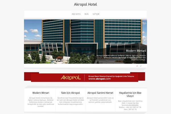 Zenon_lite theme site design template sample
