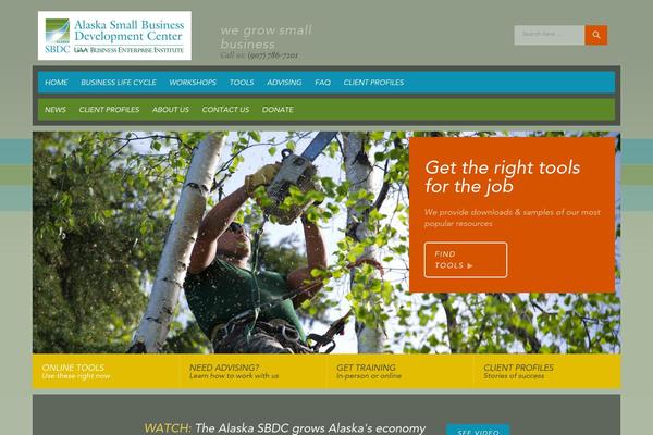 sbdc theme websites examples