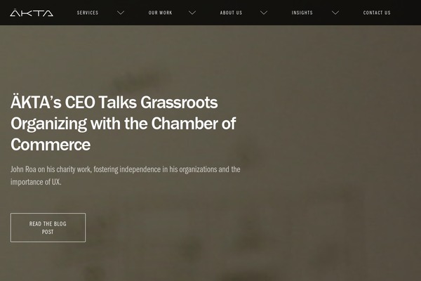 akta theme websites examples