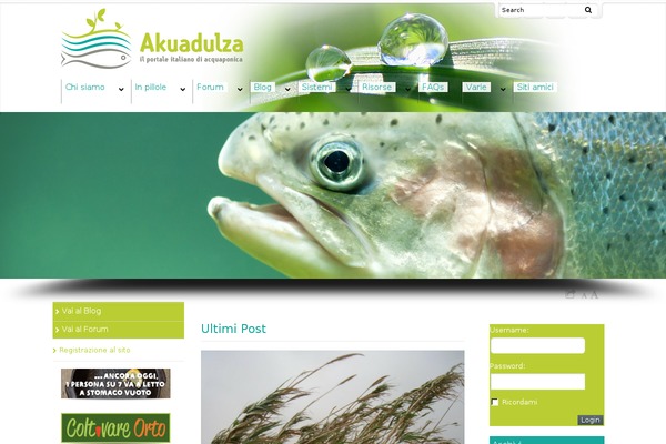 Dynamix theme site design template sample