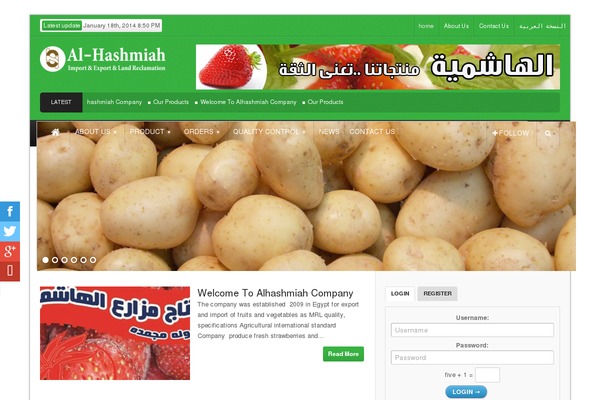 Theme Rush theme site design template sample