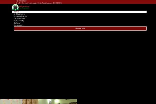 Site using Elfsight-youtube-gallery-cc plugin