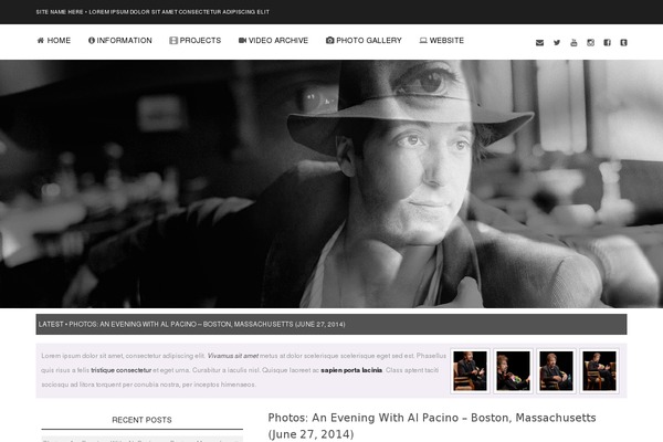 al-pacino.org site used 04_wp