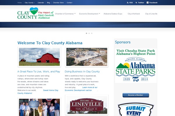 City-of-wp theme site design template sample