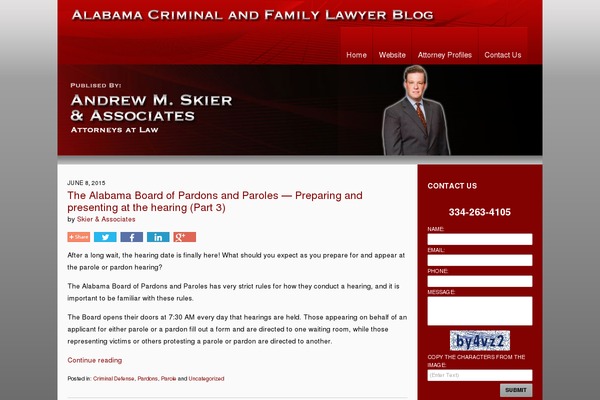 Willow theme site design template sample