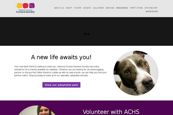 Site using Divi-simple-fileupload plugin