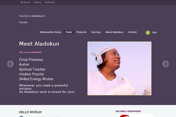 Appply theme site design template sample