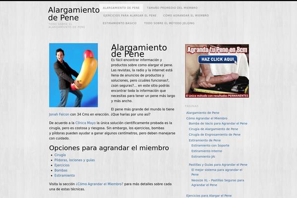alargatupene.mx site used Platform