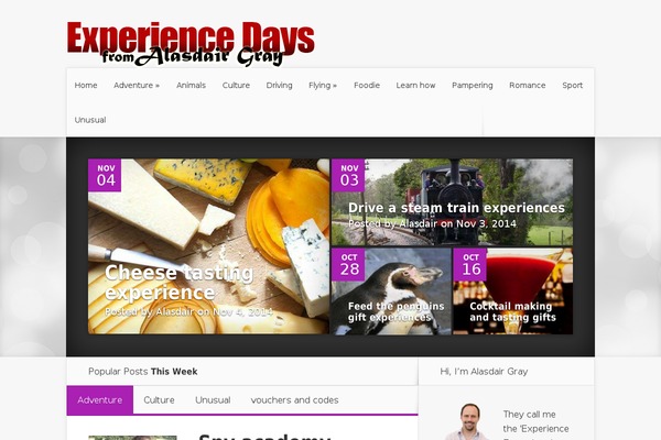 Nexus theme site design template sample