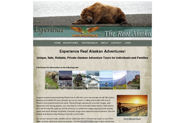 Opus theme site design template sample