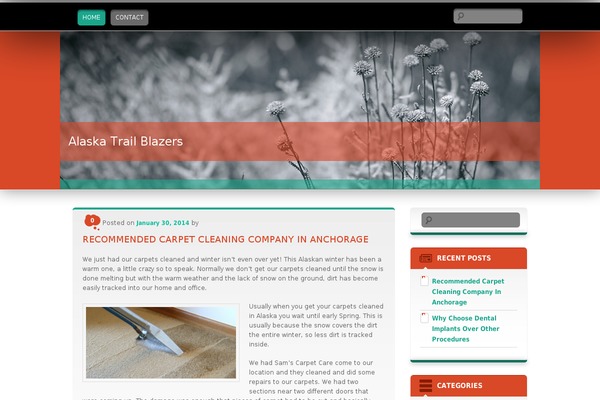 Wallpapered theme site design template sample