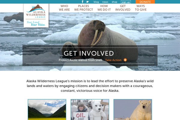 AWL theme websites examples