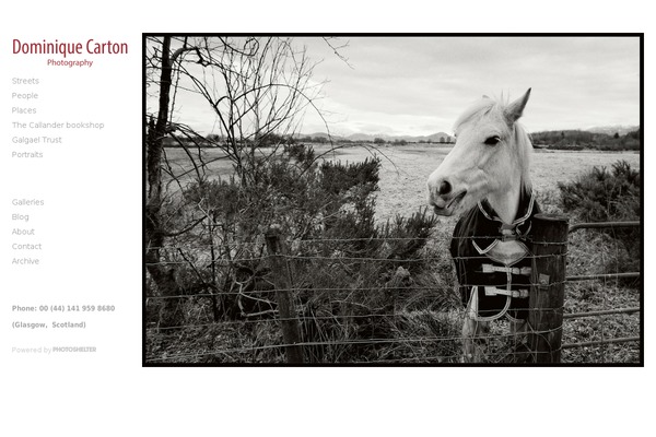 Twenty Fifteen theme site design template sample