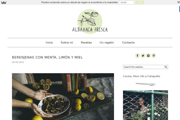 Foodie theme site design template sample