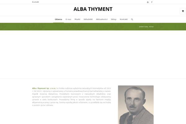 Enfold theme site design template sample