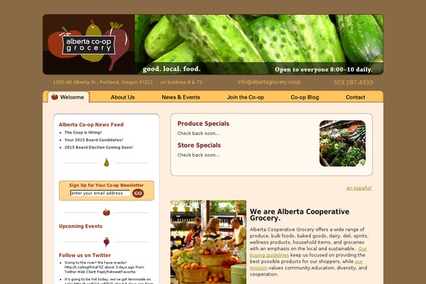 WordPress website example screenshot