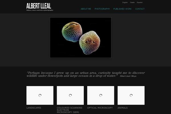 Striking theme site design template sample